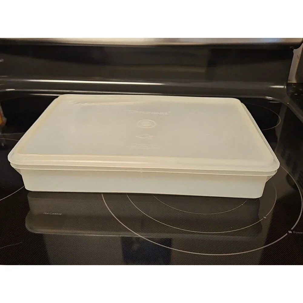 Vintage Tupperware Handolier #290 Sheer Rectangle Keeper With #291 Lid READ